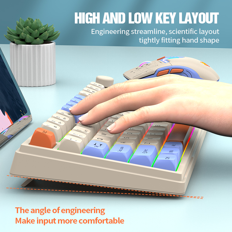 ชุดคีย์บอร์ดและเมาส์เกมมิ่งไร้ - Gaming Keyboard Ergonomics บทวิจารณ์และราคา